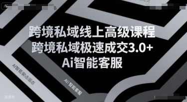 跨境私域线上高级课程，跨境私域极速成交3.0+Ai智能客服-小何资源库