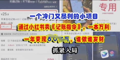 一个冷门需求，通过小红书卖《记账指令》，一本万利，谁做谁发，抓紧入局-小何资源库