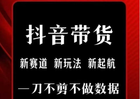 抖音短视频一刀不剪带货，不剪辑，不直播，每天发个视频，等着出单获取带货佣金-小何资源库