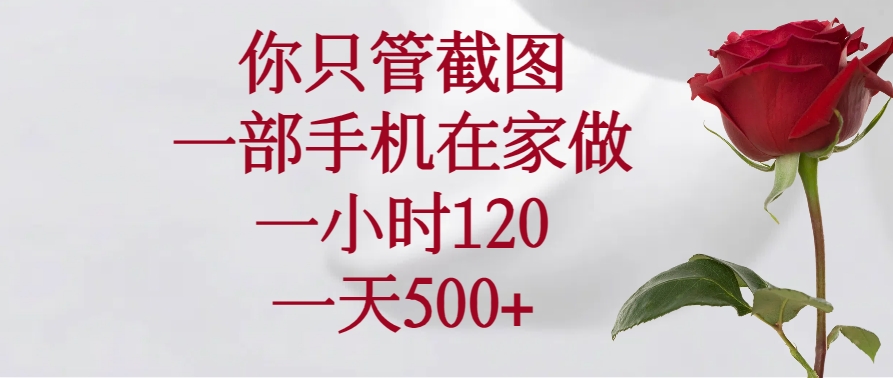 （14248期）你只管截图，一部手机在家做，一小时120，一天500+-小何资源库