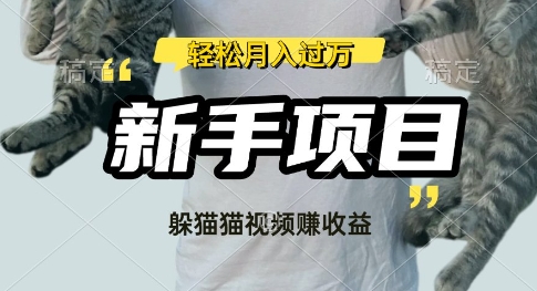 利用老外躲猫猫大赛视频，挣分成收益，操作简单，新手小白，轻松月入过W-小何资源库