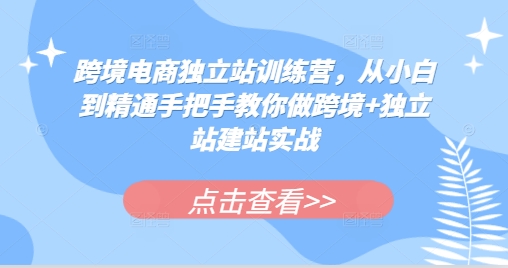 跨境电商独立站训练营，从小白到精通手把手教你做跨境+独立站建站实战-小何资源库