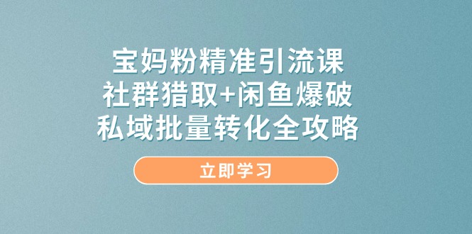 （14820期）宝妈粉精准引流课，社群猎取+闲鱼爆破，私域批量转化全攻略-小何资源库
