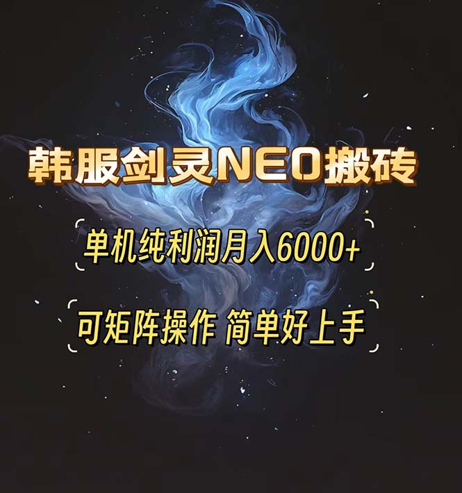 （13435期）韩服剑灵NEO搬砖攻略，单机纯利润月入6000+ 可矩阵操作，简单好上手。-小何资源库