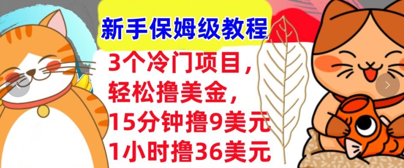 3个冷门项目，轻松撸美刀，1小时撸36刀，新手保姆级教程-小何资源库