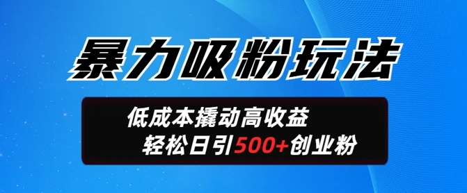 暴力吸粉玩法，日引500+精准创业粉，日变现轻松多张-小何资源库
