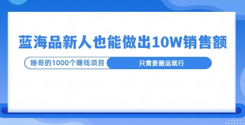 这个蓝海品，新号也能卖出10W的销售额，年底疯狂怼量就能出结果-小何资源库