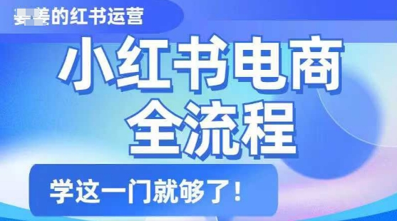 小红书电商全流程，精简易懂，从入门到精通，学这一门就够了-小何资源库