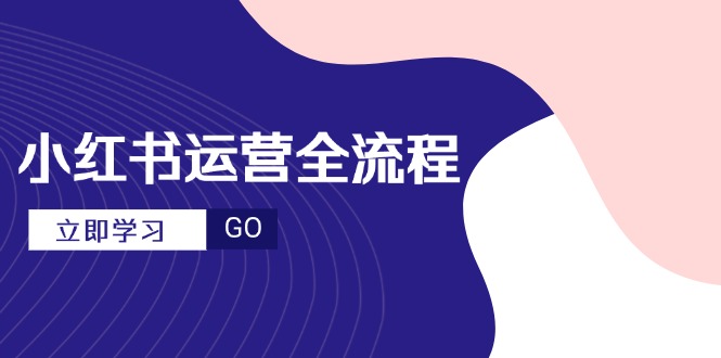 （14861期）小红书运营全流程，爆款选题文案，视频制作技巧，进阶达人宝典-小何资源库