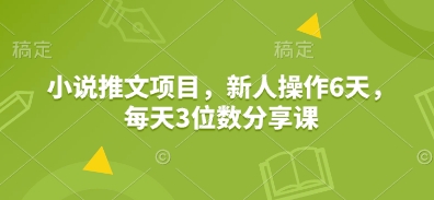 小说推文项目，新人操作6天，每天3位数分享课-小何资源库