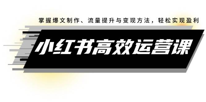 小红书高效运营课：掌握爆文制作、流量提升与变现方法，轻松实现盈利-小何资源库
