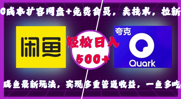 0成本扩容网盘+免费会员，卖技术，拉新，咸鱼最新玩法，实现多重管道收益，一鱼多吃，轻松日入500+-小何资源库