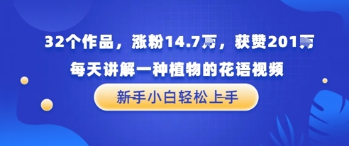 32个作品，涨粉14.7W，获赞201W，每天讲解一种植物的花语视频，无需任何技巧，新手小白轻松上手-小何资源库