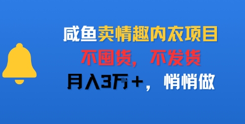 咸鱼卖情趣内衣项目，不囤货，不发货，月入3W+，悄悄做-小何资源库