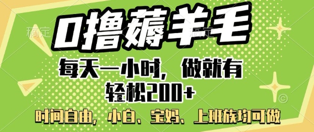 0撸薅羊毛，每天一小时，做就有轻松2张，小白宝妈，上班族均可做-小何资源库