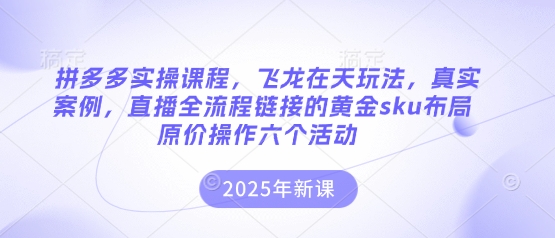 拼多多实操课程，飞龙在天玩法，真实案例，直播全流程链接的黄金sku布局原价操作六个活动-小何资源库