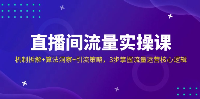 （14122期）直播间流量实操课：机制拆解+算法洞察+引流策略，3步掌握流量运营核心逻辑-小何资源库