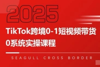 TikTok跨境0-1短视频带货，系统拆解TikTok跨境带货全链路，实现跨境可持续盈利-小何资源库