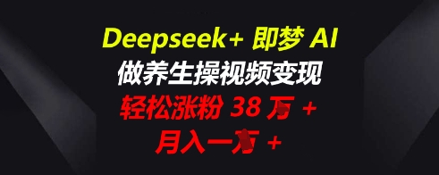 Deepseek+即梦AI，做养生操视频变现，轻松涨粉38W+，月入一W+-小何资源库