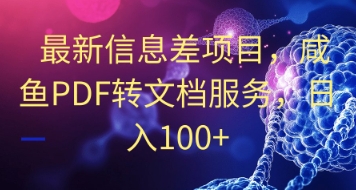 最新信息差项目，咸鱼PDF转文档服务，日入100+-小何资源库