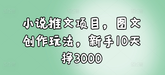 小说推文项目，图文创作玩法，新手10天挣3000-小何资源库
