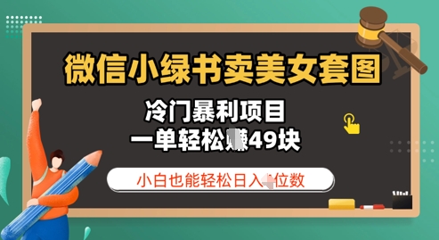 微信小绿书卖美女套图，冷门暴利项目，一单轻松挣49块，小白也能轻松日入3位数-小何资源库