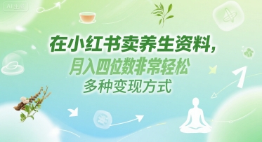 在小红书卖养生资料，月入四位数非常轻松，多种变现方式-小何资源库