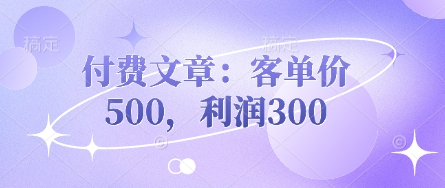 付费文章：客单价500，利润300-小何资源库