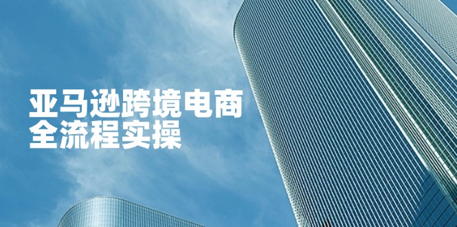 （14252期）亚马逊跨境电商全流程实操，教你从零开始，掌握店铺运营与广告技巧-小何资源库