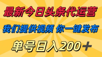 最新今日头条代运营，我们提供视频，你一键发布，单号日入200+【揭秘】-小何资源库