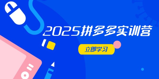 （14531期）2025拼多多实训营：深度剖析运营关键，助力电商人快速提升-小何资源库
