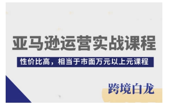亚马逊运营实战课程，亚马逊从入门到精通，性价比高，相当于市面万元以上元课程-小何资源库