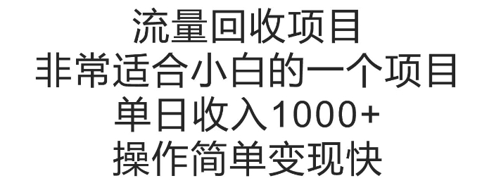 流量回收项目，非常适合小白的一个项目单日收入多张，操作简单变现快-小何资源库