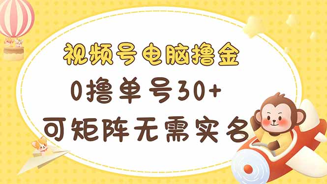 （14220期）视频号电脑撸金 0撸单号30+ 可矩阵 无需实名多号多得-小何资源库