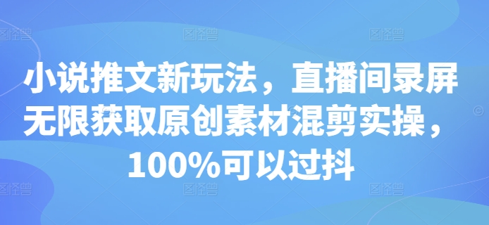 小说推文新玩法，直播间录屏无限获取原创素材混剪实操，100%可以过抖-小何资源库