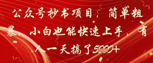公众号抄书项目，简单粗暴，小白也能快速上手，有人一天搞了1k+-小何资源库