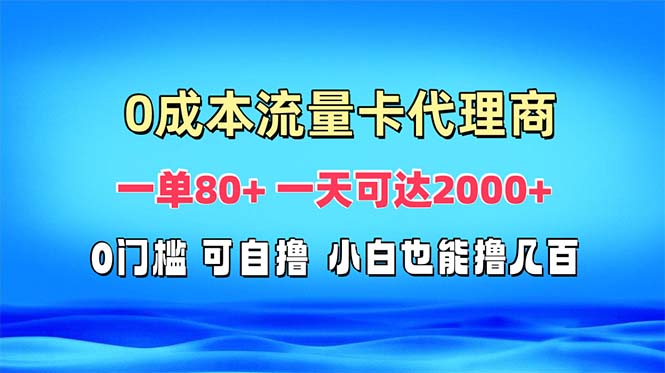 （13391期）免费流量卡代理一单80+ 一天可达2000+-小何资源库