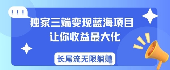 独家三端变现蓝海项目，让你收益最大化，长尾流无限躺挣-小何资源库