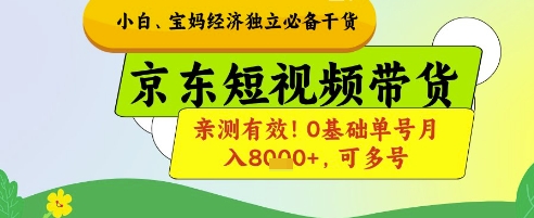 小白宝妈经济独立必备干货，京东短视频带货，亲测有效!0基础单号月入8k+，可多号【揭秘】-小何资源库