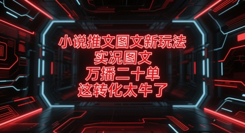 小说推文图文新玩法，实况图文，万播二十单，这转化太牛了！-小何资源库