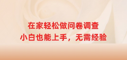 在家轻松做问卷调查，小白也能上手，无需经验-小何资源库