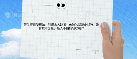 AI养生赛道新玩法，10条作品涨粉5.2W，操作简单，新人小白能轻松制作-小何资源库