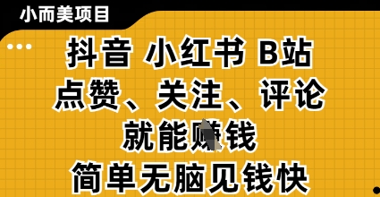 小而美的项目，抖音小红书B站视频点赞、关注、评论就能挣钱，简单无脑立见收益，妥妥的零撸项目【揭秘】-小何资源库