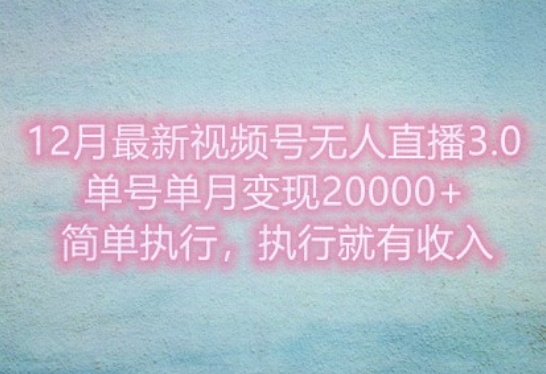 12月最新视频号无人直播3.0，单号单月变现过w，简单执行，执行就有收入-小何资源库