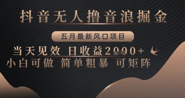 抖音无人撸音浪掘金，五月最新风口项目，当天见效，日收益多张，小白可做简单粗暴可矩阵【揭秘】-小何资源库
