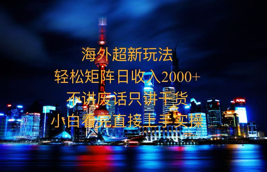 （13583期）2025全新海外暴力玩法，操作简单，小白轻松上手-小何资源库