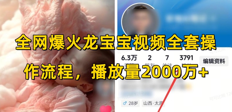 全网爆火龙宝宝视频全套操作流程，播放量2000万+-小何资源库