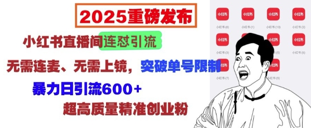 2025重磅发布：小红书直播间连怼引流，无需连麦、无需上镜，突破单号限制，暴力日引流600+-小何资源库