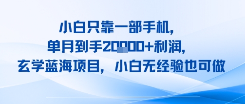 小白只靠一部手机，单月到手2W+利润，玄学蓝海项目，小白无经验也可做-小何资源库
