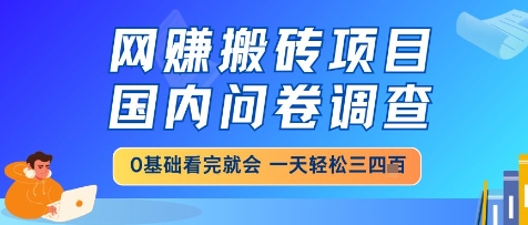 网创搬砖项目，国内问卷调查，小白轻松上手，一天三四张的也不难，干就完了【揭秘】-小何资源库